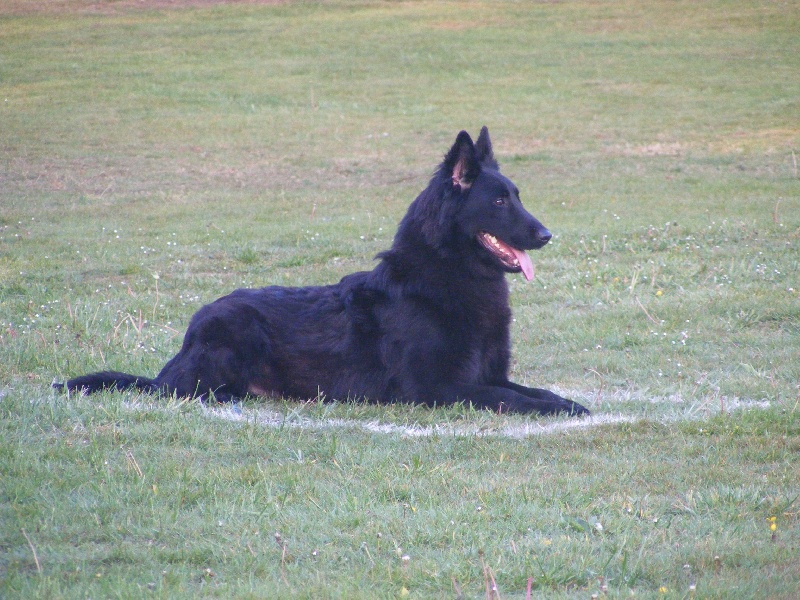 E'max de la Vallée des Suessiones